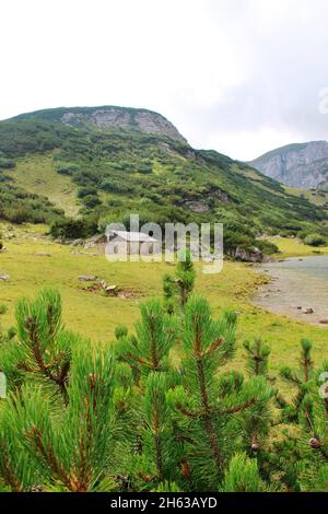 randonnée jusqu'au zireiner voir 4 hectares de lac de montagne à 1799 m dans les alpes de brandenberger, tyrol, municipalité de münster, ancienne cabane alpine en pierre avec le toit de bardeaux, en arrière-plan le latschberg (1949 m), Banque D'Images