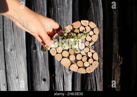 main tient coeur de décoration avec des fleurs devant la cabane en bois, coeur de décoration, à la cabane en bois dans mittenwald, allemagne, bavière, haute-bavière, werdenfelser pays, isar vallée, pénombre, Banque D'Images