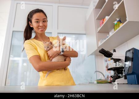 Jeune vétérinaire médecin tenant des chatons au bureau du médecin Banque D'Images