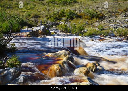 ruisseau de montagne qui coule au-dessus des cascades rocheuses dans le sud du cap, afrique du sud. Banque D'Images