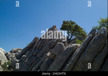 profitez de la vue magnifique de mirador del guarda forestal en andalousie Banque D'Images