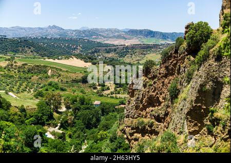 ronda pittoresque - l'une des plus grandes "villes blanches" de l'andalousie et les anciennes villes d'espagne, accrochée sur le escarpé horsetail el tajo. ronda. andalousie. espagne. Banque D'Images