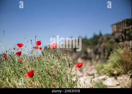 ronda pittoresque - l'une des plus grandes "villes blanches" de l'andalousie et les anciennes villes d'espagne, accrochée sur le escarpé horsetail el tajo. ronda. andalousie. espagne. Banque D'Images