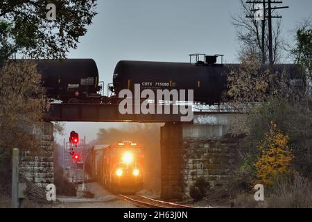 Wayne, Illinois, États-Unis.Une paire de trains de marchandises des chemins de fer nationaux du Canada se rencontrent sur des voies et des subdivisions d'exploitation distinctes. Banque D'Images