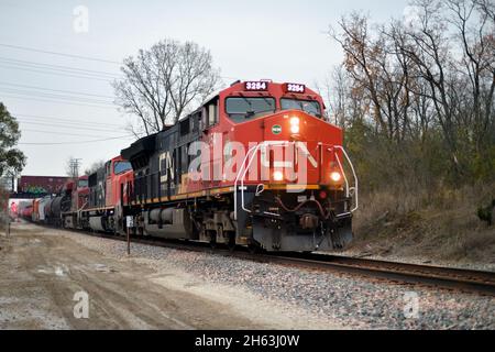 Wayne, Illinois, États-Unis.Une paire de trains de marchandises des chemins de fer nationaux du Canada se rencontrent sur des voies et des subdivisions d'exploitation distinctes. Banque D'Images