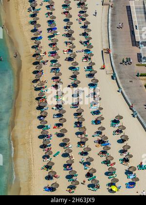 vue aérienne, baie de palma avec plage de sable et parasols en paille, les meravelles,palma,majorque,iles baléares,espagne Banque D'Images