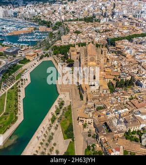 vue aérienne,santa iglesia catedral de mallorca église,palma cathédrale,parc de la mar,palma,majorque,iles baléares,espagne Banque D'Images