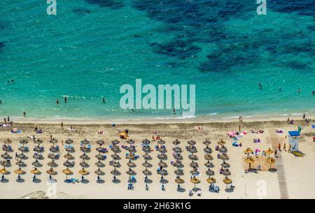 vue aérienne, plage, vie de plage et bains de soleil avec des parasols en paille, palmanova, calvià, majorque, îles baléares, espagne Banque D'Images