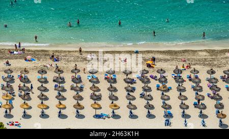 vue aérienne, plage, vie de plage et bains de soleil avec des parasols en paille, palmanova, calvià, majorque, îles baléares, espagne Banque D'Images