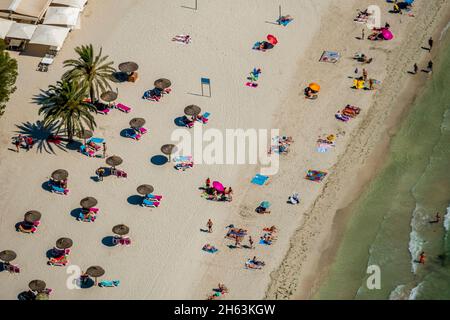 vue aérienne, plage et vie de plage, parasols en paille et chaises longues,platja de muro,muro,majorque,iles baléares,espagne Banque D'Images