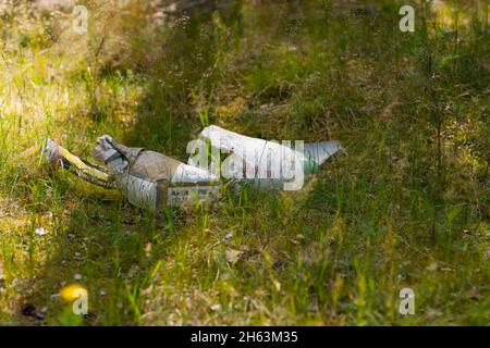 déchets illégaux déversés dans la forêt en allemagne Banque D'Images