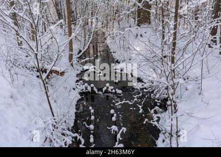 petite rivière en hiver dans une forêt enneigée, paysage d'hiver Banque D'Images