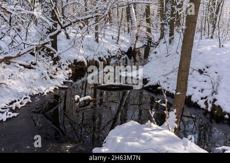 petite rivière en hiver dans une forêt enneigée, paysage d'hiver Banque D'Images