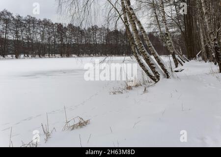 petit lac gelé et enneigé dans le petit village de gottow dans l'état de brandebourg en allemagne Banque D'Images