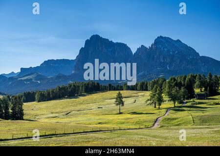 seiser alm,castelrotto,tyrol du sud,province de bolzano,italie. vue de la seiser alm au groupe sella,langkofel et plattkofel Banque D'Images