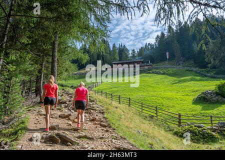 antholz, province de bolzano, tyrol du sud, italie. randonnée jusqu'à l'alm de steinzger au-dessus du lac antholz Banque D'Images