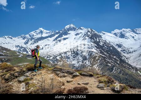 pretttau,ahrntal,province de bolzano,tyrol du sud,italie. un randonneur de montagne en face de la puissante dreiherrnspitze Banque D'Images