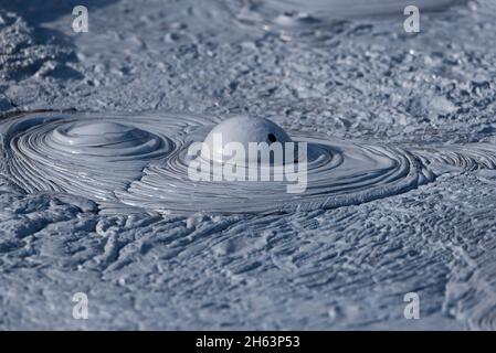 pot de boue bouillonnante dans la zone solfatar de hverarönd, également appelé námaskarã°,námafjall,mãtvatn région dans le nord de l'islande Banque D'Images