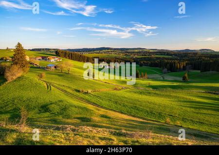 paysage typique d'allgäu dans le premier matin lumière sous un ciel bleu. prairies vertes, forêts et fermes peu après le lever du soleil. bavière, allemagne, europe Banque D'Images