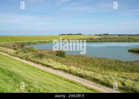 paysage naturel derrière une digue sur la côte hollandaise de la mer du nord près du kamperland. Banque D'Images