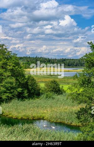 allemagne,bavière,haute-bavière,pfaffenwinkel,iffeldorf,vue sur waschsee à schiffhüttensee Banque D'Images