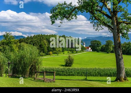 allemagne,bavière,haute-bavière,pfaffenwinkel,penzberg,paysage à la huber voir avec le chemin pieds nus et la chapelle de levage Banque D'Images