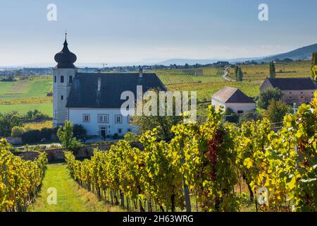 gumpoldskirchen,freigut thallern (cave abbatiale,stiftsweingut heiligenkreuz),chapelle saint-jean-baptiste,vignoble à wienerwald,bois de vienne,niederösterreich,basse-autriche,autriche Banque D'Images