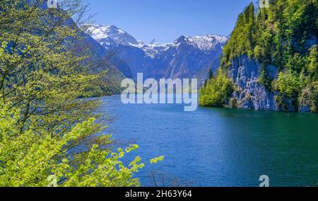 vue de malerwinkel au koenigssee avec steinernem meer et schönfeldspitze 2653m,schönau am koenigssee,alpes berchtesgaden,berchtesgadener land,haute-bavière,bavière,allemagne Banque D'Images