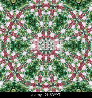 mandala,composition,plantes Banque D'Images