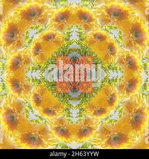 mandala,composition,plantes Banque D'Images