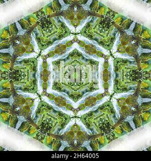 mandala, ruisseau, mousse Banque D'Images