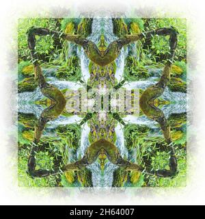 mandala, ruisseau, mousse Banque D'Images