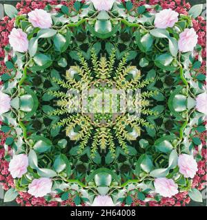 mandala,composition,plantes Banque D'Images