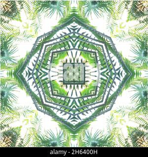 mandala,composition,plantes Banque D'Images