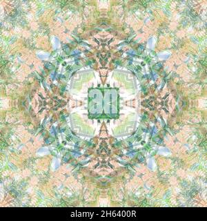 mandala,composition,plantes Banque D'Images