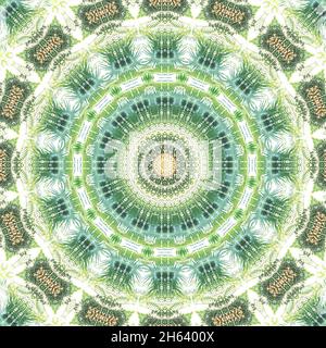 mandala,composition,plantes Banque D'Images