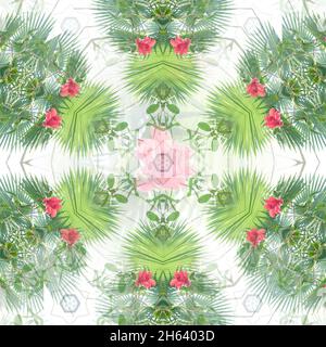 mandala,composition,plantes Banque D'Images