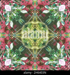 mandala,composition,plantes Banque D'Images