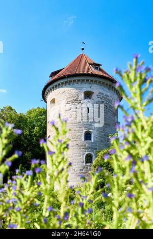 le gallerturm überlinger est l'un des nombreux monuments de la ville Banque D'Images