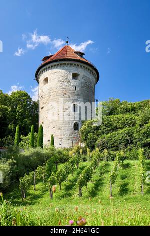 le gallerturm überlinger est l'un des nombreux monuments de la ville Banque D'Images