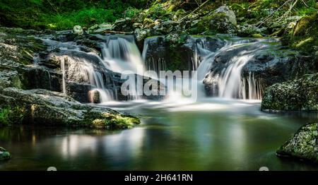 cascade dans la forêt par un torrent Banque D'Images