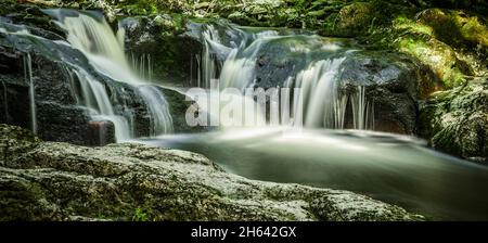 cascade dans la forêt par un torrent Banque D'Images