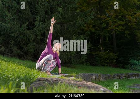 jeunes femmes faisant du yoga, wiese, am kappelberg, baden-württemberg, allemagne Banque D'Images