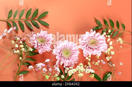 chrysanthèmes roses avec brindilles vertes sur fond beige. délicates fleurs d'automne.Fond floral botanique. Banque D'Images