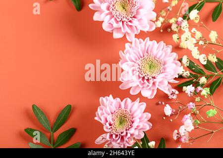 chrysanthèmes roses avec brindilles vertes sur fond beige. délicates fleurs d'automne.Fond floral botanique. Banque D'Images