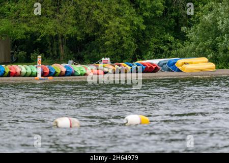 Issaquah, Washington, États-Unis.Une rangée de kayaks à la location d'un bateau à côté du parc national du lac Samammish. Banque D'Images