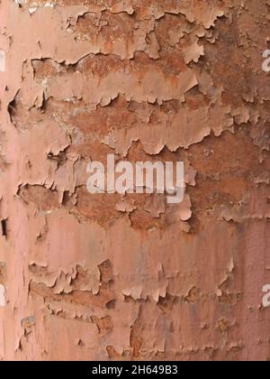 texture en acier peint brun éraflée et rouillée, utile pour l'arrière-plan Banque D'Images