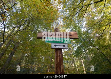 25 octobre 2021, Schleswig-Holstein, Lübeck : un panneau se dresse dans la forêt de la ville.Depuis environ 30 ans, les arbres de la forêt de la ville de Lübeck ont pu croître à leur rythme.Les forestiers n'interviennent que rarement dans l'écosystème forestier.(À dpa-KORR.: 'Le concept de forêt de Lübeck devrait sauver les forêts et le climat') photo: Marcus Brandt/dpa Banque D'Images