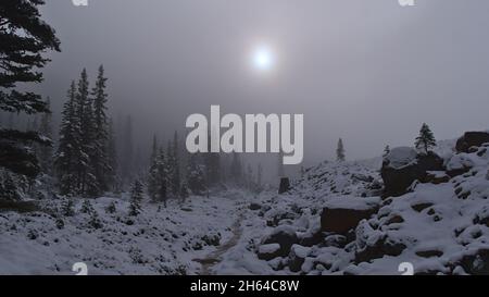 Sentier de randonnée menant à un magnifique paysage hivernal enneigé avec des rochers et des arbres dans le parc national Jasper, en Alberta, au Canada, dans les Rocheuses. Banque D'Images