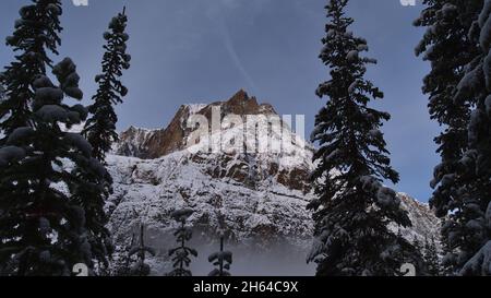 Vue sur le sommet nord enneigé du mont Edith Cavell avec une face rocheuse accidentée et des conifères devant le parc national Jasper, Canada. Banque D'Images